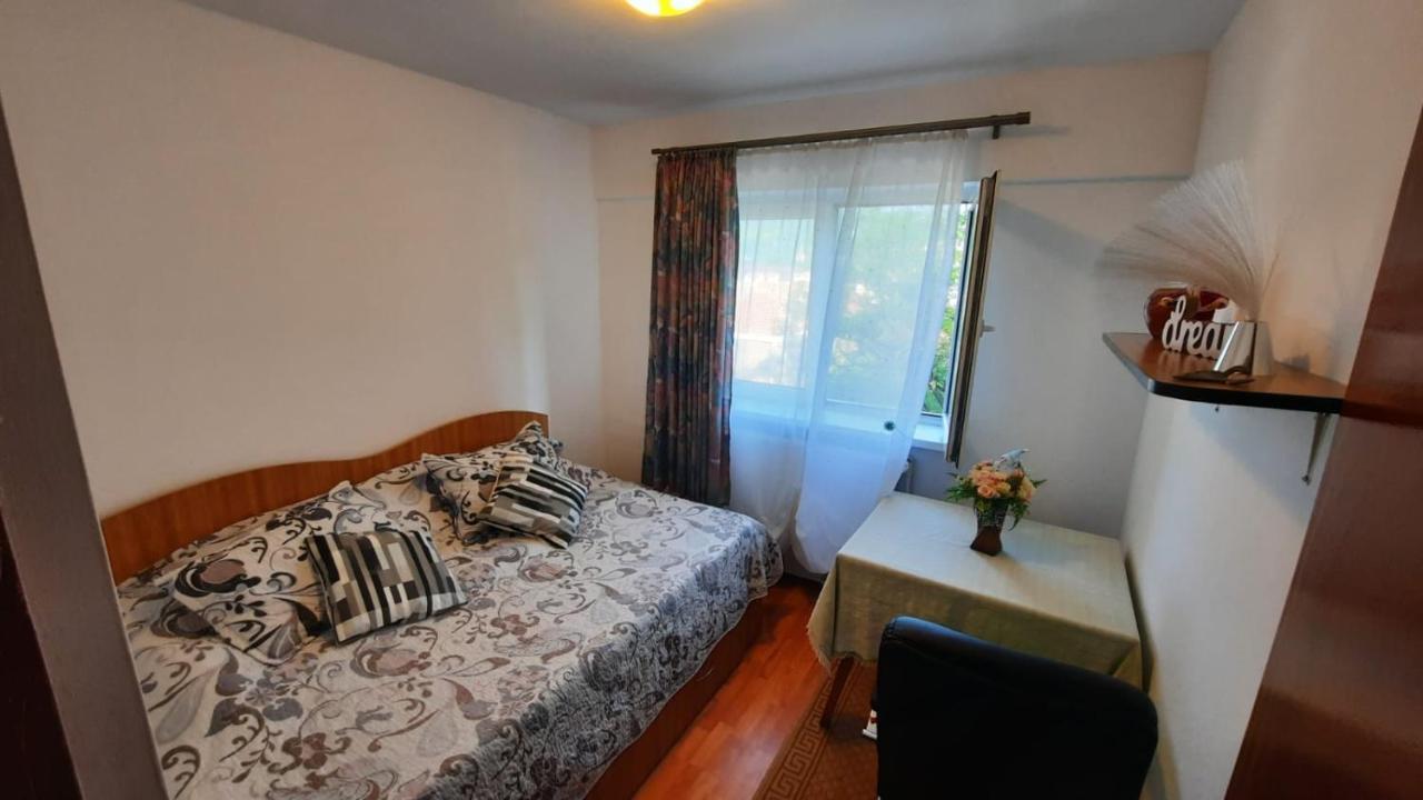 Bubu Apartament Petroşani Exterior foto