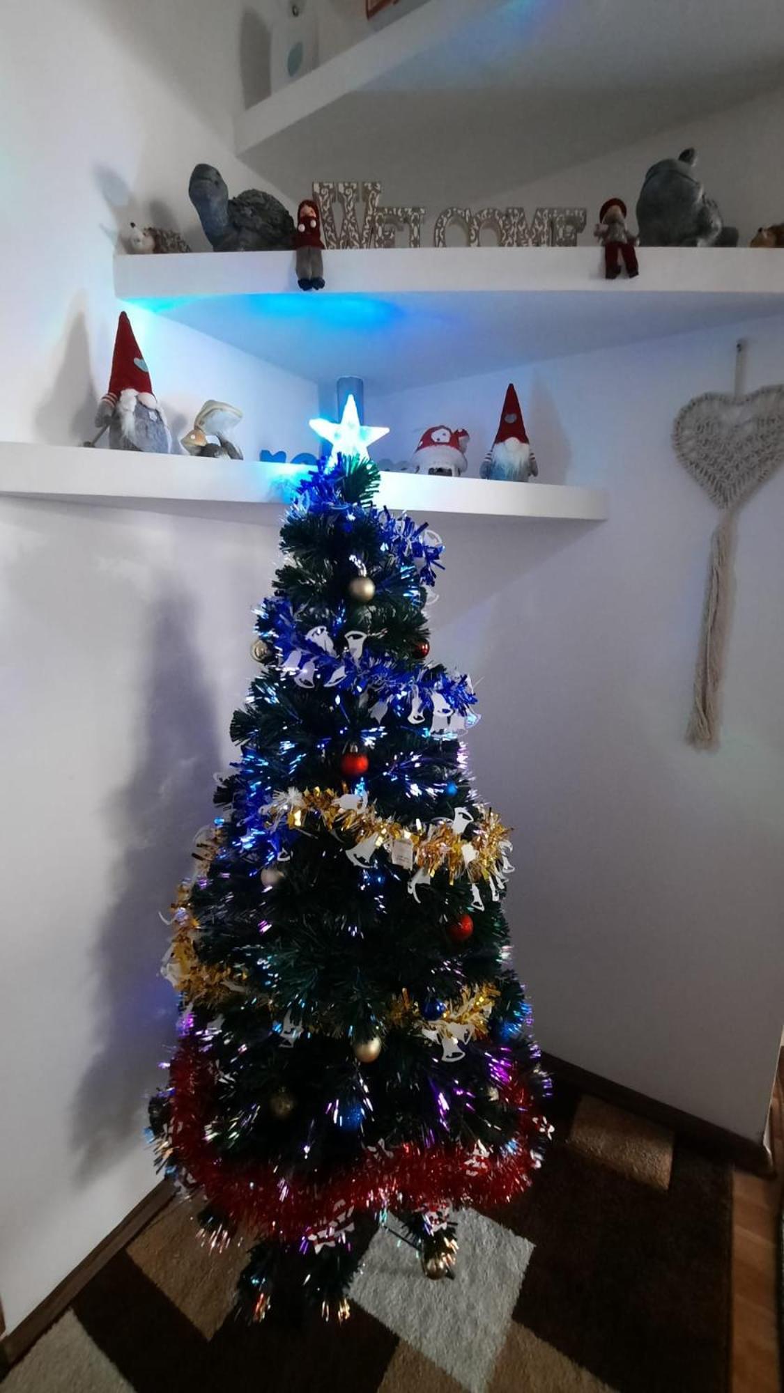 Bubu Apartament Petroşani Exterior foto